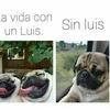 luishermu